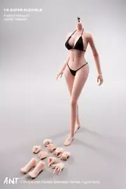 1/6 Pale Large Bust Makeup Flexible Seamless Body For 12'' Female Action Figure
