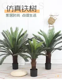 在飛比找樂天市場購物網優惠-仿真鐵樹盆栽室外植物盆景大型落地假樹人造綠植造景戶外蘇鐵樹