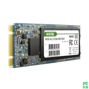 RiTEK 錸德 R801 512GB M2 2280/SATA-III SSD 固態硬碟 /個 47193033974951 512GB