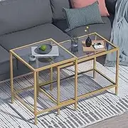 Adompacat Coffee Table Set of 2,Gold Glass Nesting Coffee Side End Table,Square Modern Center Table for Living Room,Bedroom and Small Spaces,Tempered Glass-top with Sturdy Metal Frame, Easy Assembly