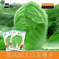 在飛比找蝦皮購物優惠-🌱豐抗80大白菜種子山東包心白菜種籽雜交耐熱鼕儲菜種菜籽 種