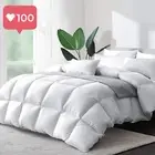 Goose Down Quilt 800GSM Queen – Premium Winter Blanket Duvet Comforter