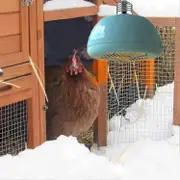 Hanging Chicken House Heater, Instant Hatchery Lamp Heater, Outdoor Pet Cage Heater, Electric Pet Sh
