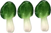 Educational Vegetable Models Set 3pcs Realistic Artificial Faux Vegetables for Boys and Girls Learning Home Decorati