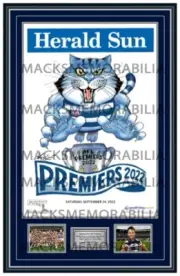2022 AFL PREMIERS GEELONG CATS MARK KNIGHT GRAND FINAL FRAMED MEMORABILIA