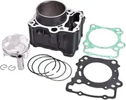 Motorcycle Engine Spare Parts Cylinder Head Piston Ring Kit for CBR300 CBF300N CB300R CB300R 2018-2020