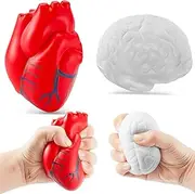 Anatomy Stress Toy Set 2 Pieces Heart Stress Balls with Squishy Brain PU foam Stress Ball Zombie Fake Healthcare Anatomy Stress Ball for Relief Stress