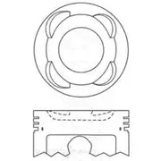 Austral Piston Set - PO1198 STD