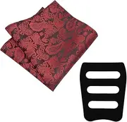 [LJBFNN] Paisley Pocket Squares for Men, Mens Handkerchiefs with Pocket Square Holder for Suit Tuxedo Wedding Party Business