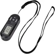 LAPOOH HRD-727 Portable Mini FM Radio Digital Display FM Receiver Retro MP3 Player Style DSP with Headphones Lanyard