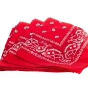 Classic Paisley Design Cowboy Square Polyester Bandana, Red, One-Size 20"