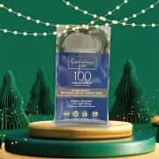Warm White Micro Big Seed Lights, 100 Count, Green Cord, Battery Operated