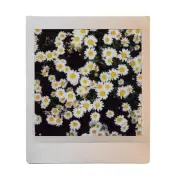 Fujifilm INSTAX SQUARE Sunset Film - 10 Pack