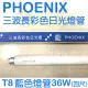 PHOENIX 鳳凰三波長彩色日光燈 (藍光) T8四尺直管36W - 25入/箱