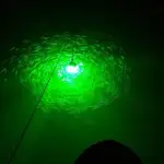 熱銷*12V水下誘魚燈水底強光釣魚燈捕魚集魚燈筏釣翹嘴魷魚燈綠色RAIN0985