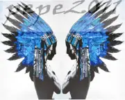 painting canvas street art Print Indian eagle Blue Feather Native American