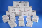 ABB Pre-Printed Horizontal RC610 Terminal Block Markers 1SNA233003R2000