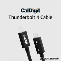 在飛比找露天拍賣優惠-+CalDigit雷電4數據線USB4連接線typec接口線