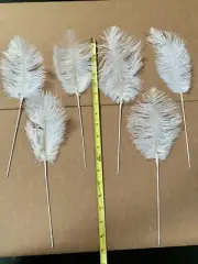 Ostrich Feathers 50 Pc White Natural Ostrich Feathers 6” - 8”
