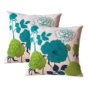 Farmhouse Outdoor Throw Pillow Covers 18" x 18" (Pack of 2) Teal & Green