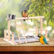 Parrot Playstand Bird Play Stand Cockatiel Playground Wood Perch Gym Toys
