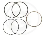 Series Segments Original Briggs & Stratton 792026
