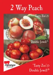 Buy Peach Double Jewel and Tasty zee Multi Graft Fruit Trees