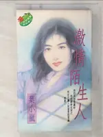 激情陌生人_葉小嵐【T3／言情小說_CWS】書寶二手書