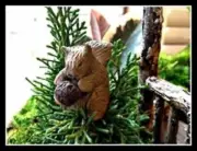 Squirrel Fairy Faerie Hobbit Gnome Garden Miniature WS 1409