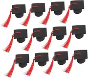 NOLITOY 12pcs Graduation Caps Cake Toppers with Tassels Fun Party Decorations for Graduations Birthdays Celebrations Versatile Cake Decorating Supplies for Cupcakes Desserts