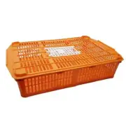 new Plastic Quail Crate Quail and Chukar are easy to load and unload with a lift