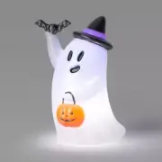 Light and Sound Ghost Halloween Decorative Prop 14"H - Hyde & EEK! Boutique NWT