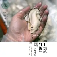 在飛比找蝦皮購物優惠-【水汕海物】下殺優惠~~瀨戶內海特產 L規格 牡蠣(純重生蠔