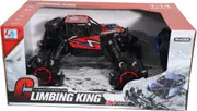 Cheetah King Remote Control RC Buggy Truggy Truck Car 2.4 GHz