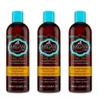 Hask Shampoo Argan Oil Repairing 12 Ounce (354ml) 1 pack
