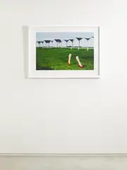 [AP8] AP8 - Guy Bourdin Framed Print, 40'' X 29'' - Green - One size One size Green
