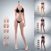 T303P 1/6 Super Flexible Seamless Body Normal Skin 12" Female Action Figure ToyP