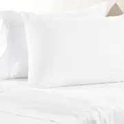 Sheridan Everyday Cotton 250TC Pillowcase in White