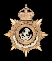 Kings Crown The West Riding Regiment Blue Cloth Officers Helmet Plate