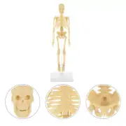 Toys Human Skeleton Simulation Mannequin DIY Assembly Manikin Child