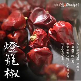 柳丁愛☆四川燈籠椒粗片100g【A747】 大紅袍花椒 青花椒 朝天椒 麻辣火鍋 麻辣乾鍋 橋頭調理包 台灣批發乾貨