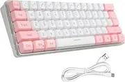 Labymos 61 Keys Wired Keyd Membrane Keyd Compact Design RGB Backlight Effect with Shortcuts Detachable Data Cable