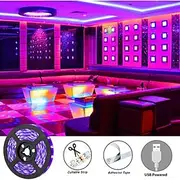 LED UV Black Light Strip Purple USB Interface with 11 Key Multi-function RF Remote Control SMD2835 380-400NM UV LED Black Light Lamp Suitable for Fluorescent D