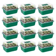 VIVOSUN 12-Pack 144-Cell Seed Starter Tray for Planting Seed Propagation Nursery