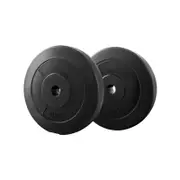 Everfit 10kgx2 Weight Plates Set