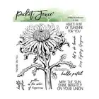 Picket Fence Studios Clear Stamp - A Wild Sunflower