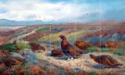 Wildlife Art Archibald Thorburn Ceramic Mural Backsplash Bath Tile #2262