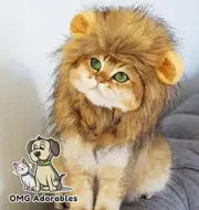 Lion Mane Costume for Cat (Cat) - Halloween Special New W