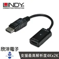 在飛比找樂天市場購物網優惠-※ 欣洋電子 ※ LINDY林帝 主動式 DISPLAYPO