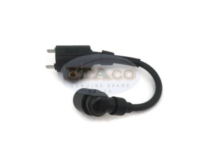 Boat Motor 2.5F-01.03.01.00 Ignition Coil Assy for Hidea Outboard 2.5hp 2 stroke